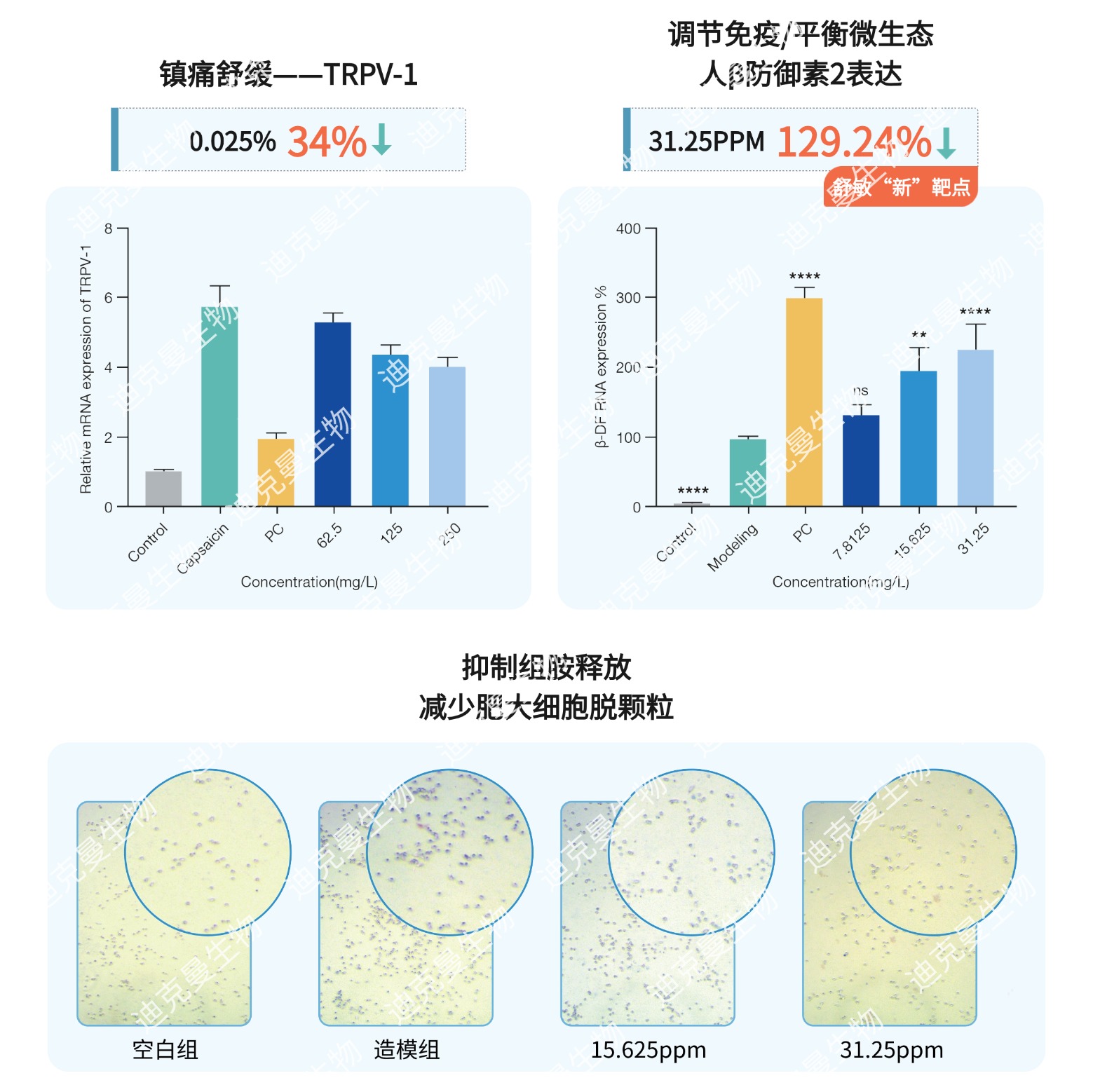 喜报｜迪克曼生物C46神经酰胺EOS荣获2026荣格技术创新奖！(图4)