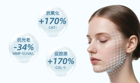 喜报｜迪克曼生物C46神经酰胺EOS荣获2026荣格技术创新奖！(图5)